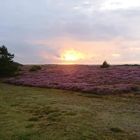 Nyaraló 6 Person In Laeso-by Traum *